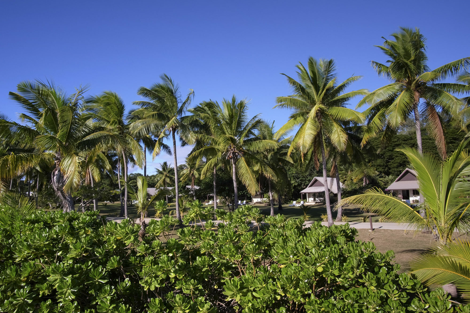 Musket Cove Island Resort Malololailai Kültér fotó